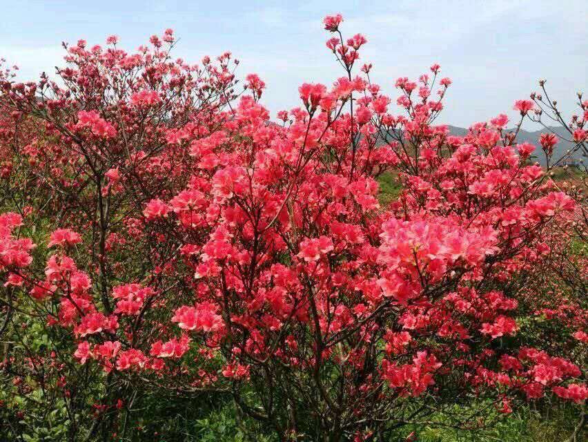 777695078117466963.jpg 777695078117466963.jpg